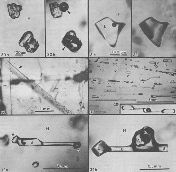 Calcite And Halite